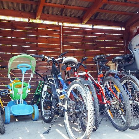 Camping Nr 61 Elblag Exterior foto